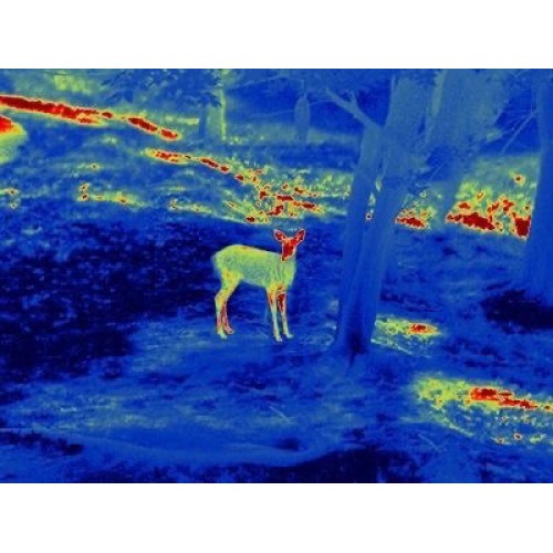 Прицел тепловизионный GUIDE TS450 в Пскове